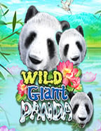 แนะนำ บา คา ร่ารับ 100 ไม่ ต้อง ฝาก: ประสบการณ์การเล่นที่น่าตื่นเต้น